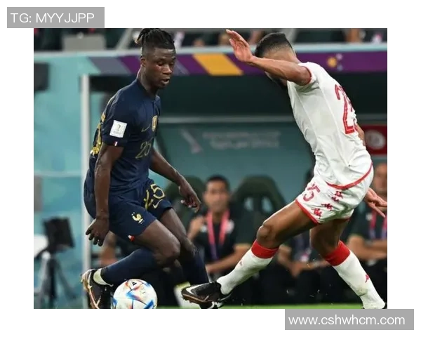 法国与爱尔兰激战正酣比赛结果引发球迷热议与期待